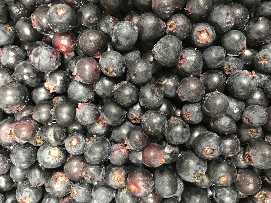 Frozen Saskatoon Berries